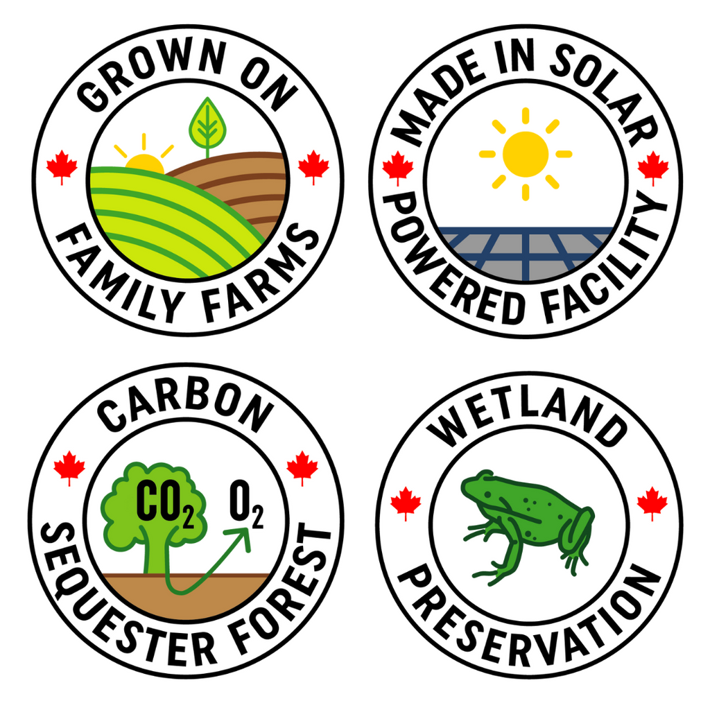 Matcha japonais Tega 40g | Biologique