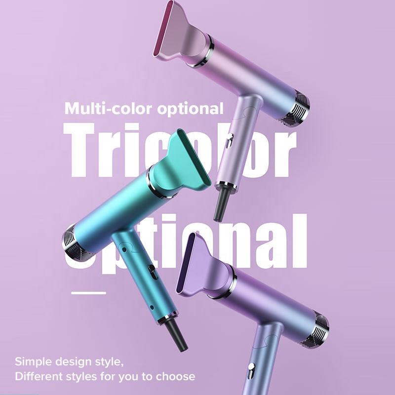 Souffleur de sèche-cheveux pliable Souffleur électrique à ions négatifs Mini souffleur de cheveux léger pliant Sèche-cheveux rapide silencieux Voyage à domicile